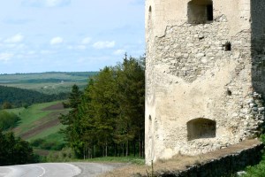 Замок в Кривче